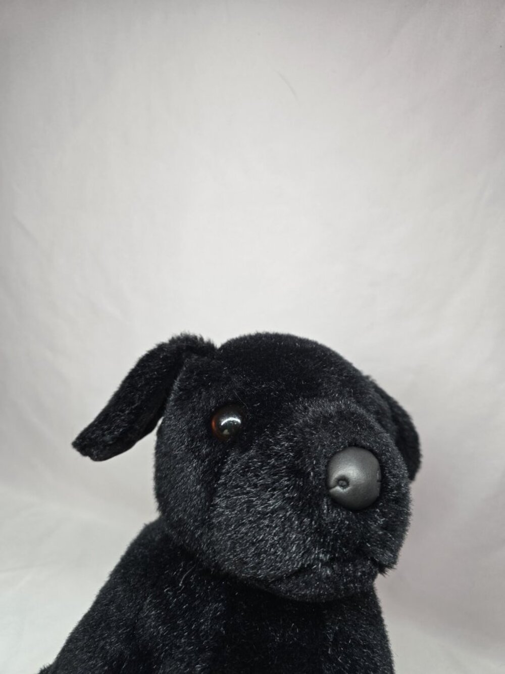 Douglas "Bud" Black Lab Labrador Dog Plush Sitting Vintage Pink Tag - Picture 10 of 12